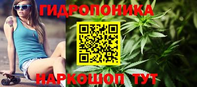 гашик Братск