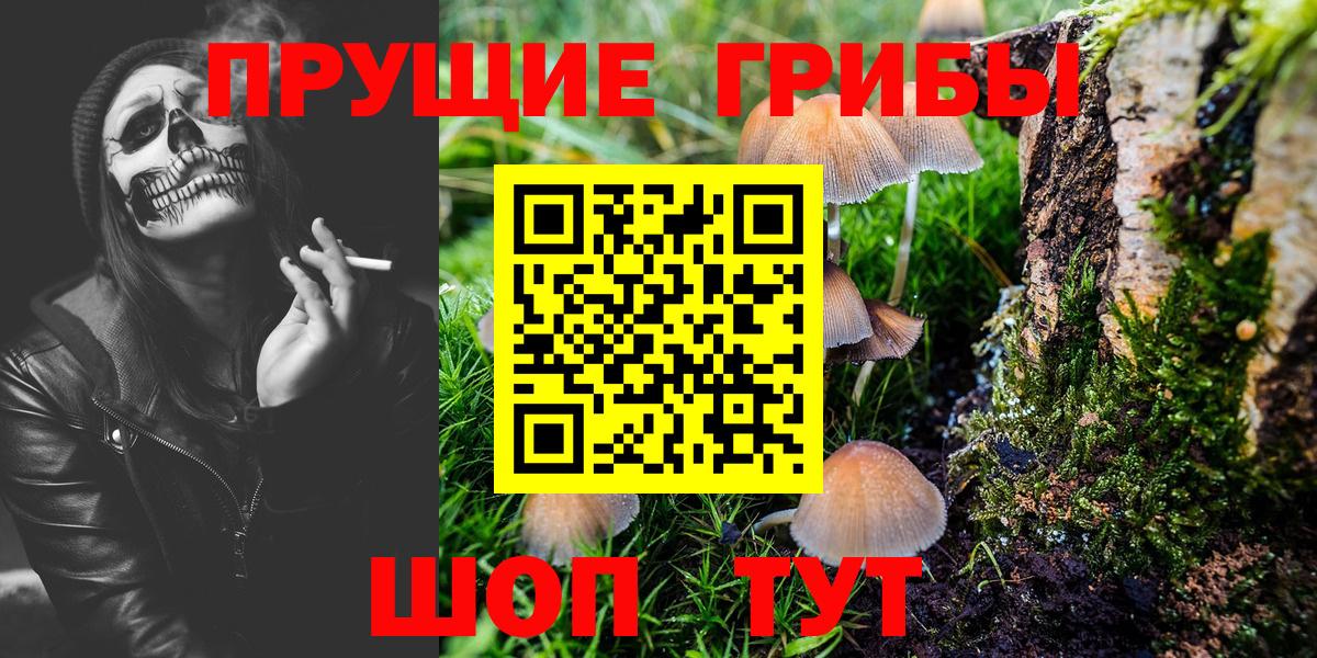 Галлюциногенные грибы ЛСД  Галлюциногенные грибы Magic Shrooms  Отрадное  Вход с VPN 